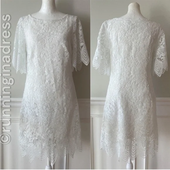 NWOT Anthropologie Charleston Dramatic Lace Scalloped Trim White Lace Mini 4 NWOT Anthropologie Charleston Dramatic Lace Scalloped Trim White Lace Mini 4